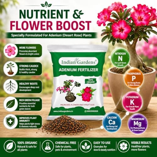 Indian Gardens - Adenium Organic Fertilizer (1 Kg) | Plant Food For Flowering Plants | Flower Booster 2