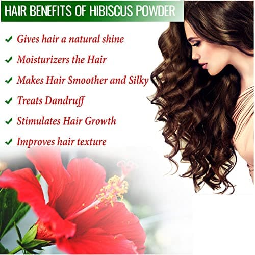 BRALCON Organic Raw Hibiscus 100g Dry Hibiscus Flower Rosa-Sinensis for Hair Care & Face Pack Gudhal Ka Phool for Hair Growth, Skin Care Pure Raw Form Conditioner 4