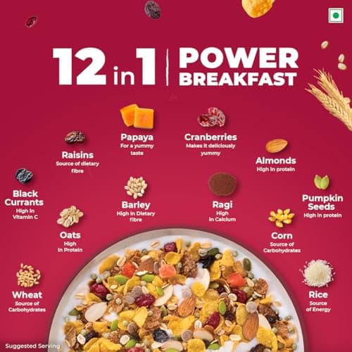 Kellogg's Muesli Fruit Nut & Seeds | 12 In 1 Power Breakfast | No Maida No Palm Oil | India's No 1 Muesli | 500g 4