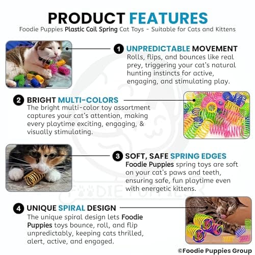 Foodie Puppies Interactive Plastic Coil Spring Cat Toys (Pack of 5) for Cats & Kittens | Colorful, Flexible Toys for Indoor Play, Perfect for Swatting, Biting, Chasing & Exercise 4