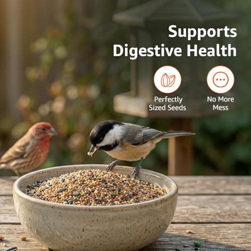 Amazon Basics Mix Seed Bird Food for Wild Birds | 1 Kg | 100% Natural | Energy-Rich & Easily Digestible | Suitable for All Life Stages | Made in India 5