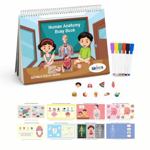 SAEKOS Human Anatomy Busy Book for Kids Age 4-6 | Montessori Educational Activity Book | Learn Human Body Parts & Organ Systems | Preschool Science ... Interactive Workbook | Made in India