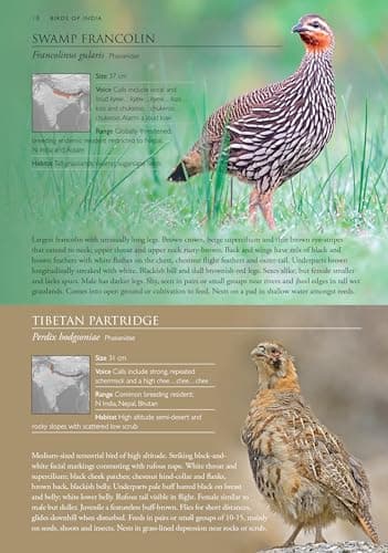 Birds of India - A Pictorial Field Guide 4