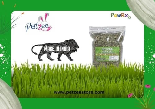 Petzee Alfalfa Hay, Food for Rabbits, Guinea Pig, Hamsters and Other Small Animals (400 GMS)- Pack of 4 5