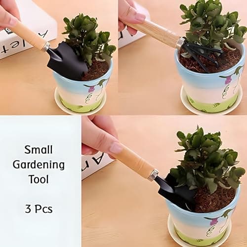 Generic 3 Pcs Gardening Tool Set, Hand Tool Kit for Home Gardening, Small Sized Hand Cultivator, Small Trowel & Garden Fork, Perfectly Sized for Kids, Ideal for Home Gardening, Flower Pot and Lawn 3