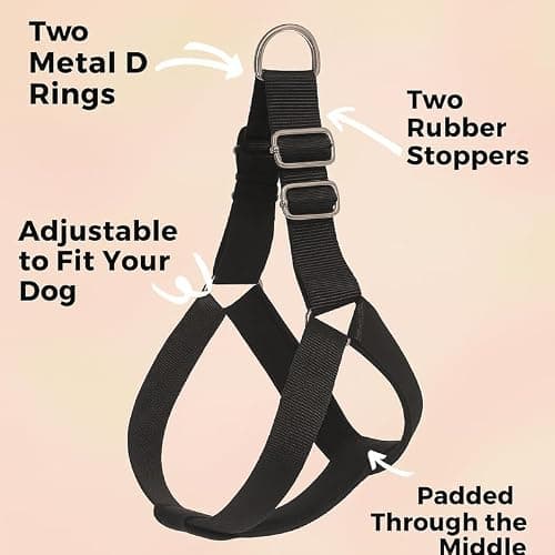 Pawpourri Adjustable Dog Harness, Leash & Collar Combo | Durable Nylon Dog Harness | Comfortable Fit for Daily Walks & Training | Harness Combo for Medium Breeds | Set of 3 pc | Black, Large 3
