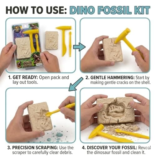 APEX Dino Fossil Excavation Kit for Kids | Dinosaur Fossil Digging Toy with Excavation Tools | Educational STEM Learning Paleontology Set for Boys & Girls | DIY Dino Dig Adventure Game 2
