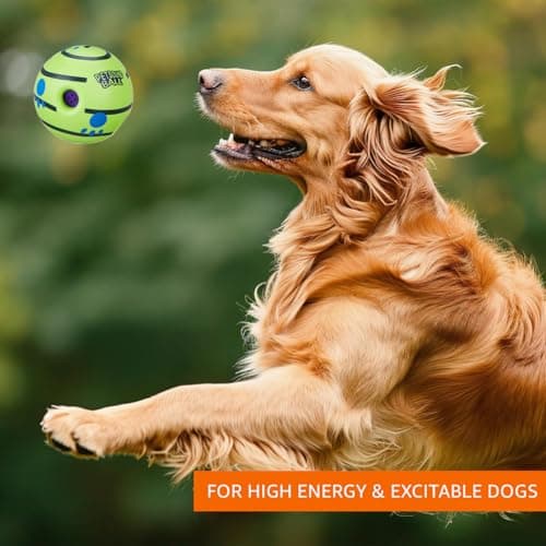 amazon basics Interactive Sound Ball Toy for Dogs and Puppies| Fun Squeaky Sounds | Pet-Safe Materials| Suitable for All Dog Breeds | Size - Large 4