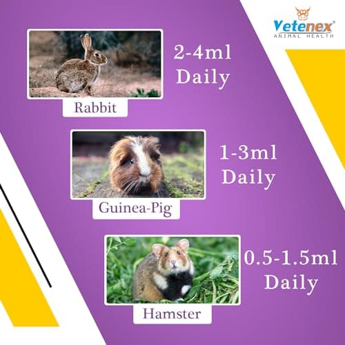 VETENEX Rabbit Vita - Vitamin & Amino Acids Supplement for Rabbit, Guinea Pig & Hamsters - 500 ML 5