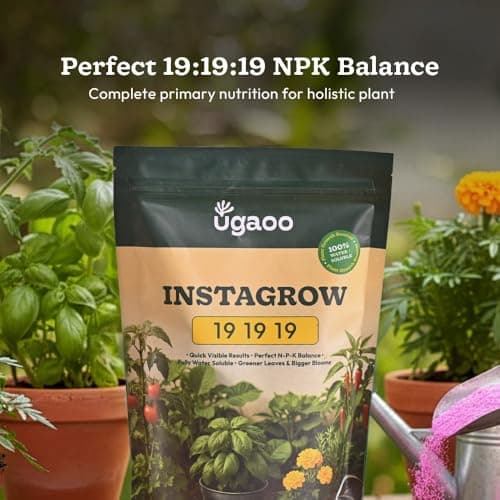Ugaoo InstaGrow NPK 19:19:19 Fertilizer (500g) | Water-Soluble Plant Food for Growth, Flowering & Fruiting | Balanced NPK for Indoor & Outdoor Plants 4