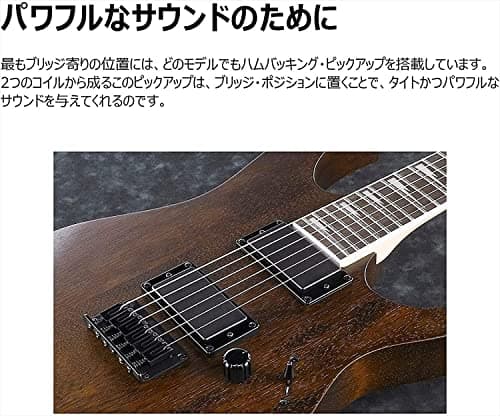 Ibanez Mahogany Electric Guitar Series Gio GRG121DX-BKF 4