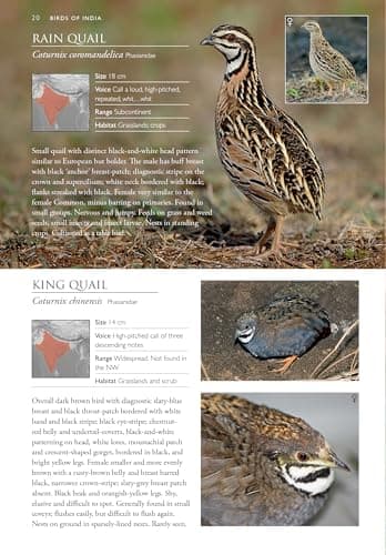 Birds of India - A Pictorial Field Guide 5