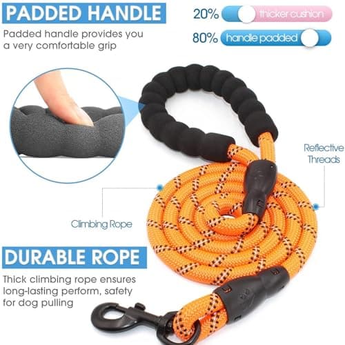 Petology Reflective Dog Leash & Collar Set for Medium Dogs (30-40cms) | 5ft Nylon Leash | Soft Neoprene Padded with Safe & Quick Release Buckle | Comfortable, Lightweight & Durable 5