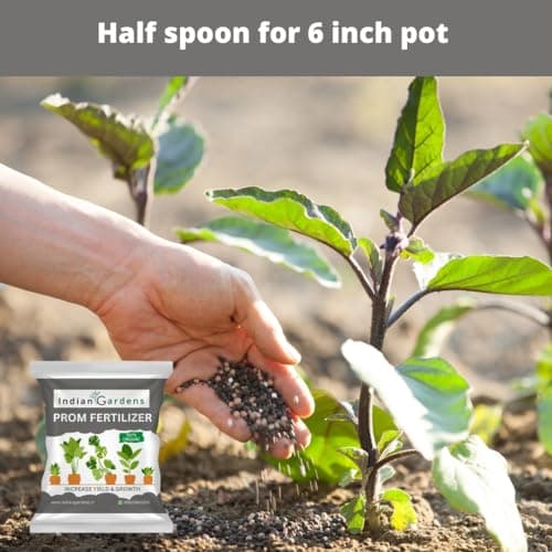 Indian Gardens - PROM Fertilizer for Plants | Plant Nutrient and Plant Food | All Plants | Gardening - 400 Grams 4