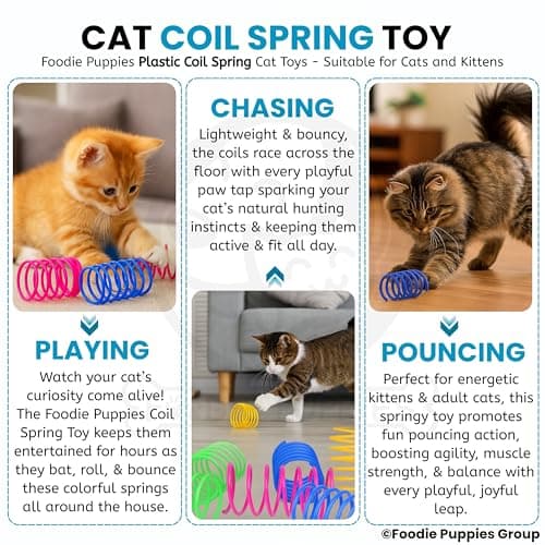 Foodie Puppies Interactive Plastic Coil Spring Cat Toys (Pack of 5) for Cats & Kittens | Colorful, Flexible Toys for Indoor Play, Perfect for Swatting, Biting, Chasing & Exercise 5