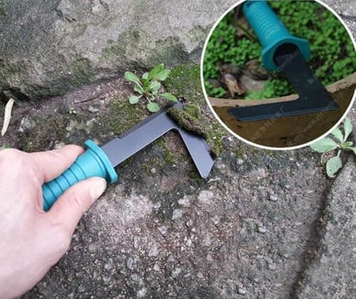 JERN 5 PCs Durable Gardening Hand Tools Kit with Portable Box, Small Garden Planting Tools, Garden Essentials 6