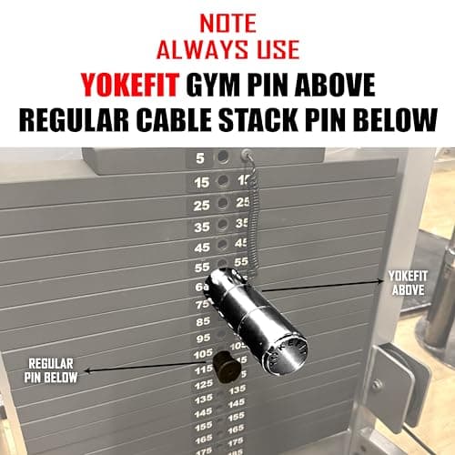 YOKEFIT Gym pin Stack Extender Weight Replacement Hard Chrome Plated Solid Steel with high Capacity alloyed Steel for Gym Fitness Workouts Strength Resistance Training (Large 6 inch 2.5kg 8mm) 6