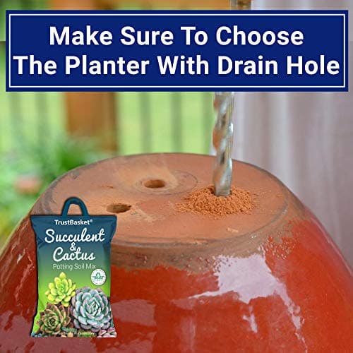 TrustBasket 100% Organic Succulent and Cactus Potting Soil Mix-5kg Premium Potting Mix with Perlite, Well-Drained & Aerated, Ideal for Succulents, Cacti, Root Growth | Soil for Indoor & Outdoor Plants 5