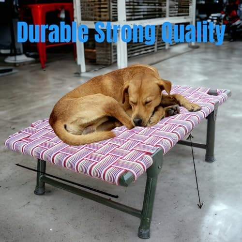 Nattnak Leg Fold Pet Dog Nylon Bed Strong Quality Iron Frame With Strips Outdoor Indoor Use Size 42X24X8 Inch(42X24X8),One Size, Multicolor 5