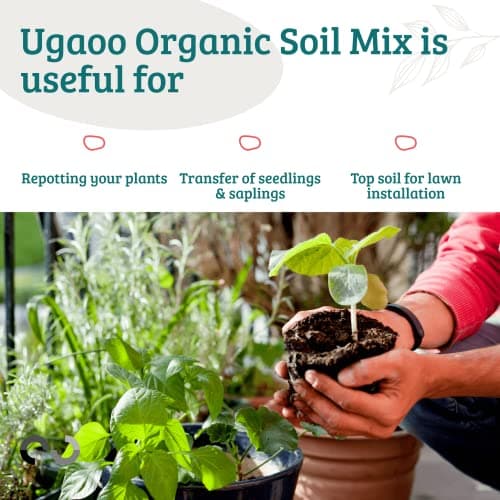 Ugaoo Organic Potting Soil Mix for Plants – 5 Kg | Ready to Use Garden Soil for Cactus & Succulents, Indoor, Outdoor & Flowering Plants | Red Soil with Cow Manure | Home Garden Potting Mixture 3