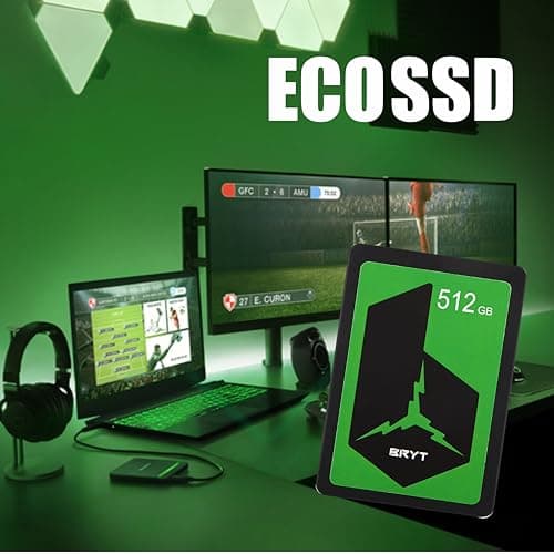 BRYT Eco 512GB SSD SATA III - 2.5 Inch Internal Solid State Drive with Read Speed up to 500 MB/s & Write Speed up to 450 MB/s | 5