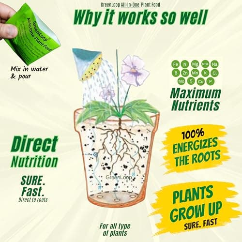 GREENLOOP-All In One Plant Food, For all House Plants, Complete,10 Sachets 2
