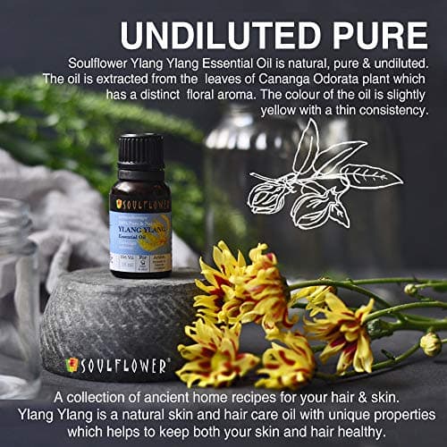 Soulflower Ylang Essential Oil for Strengthen Hair Roots, Control Hair Fall, Skin Moisture, Controls Acne, Aromatherapy - 100% Pure, Natural & Undiluted Premium Essential Oil, 15ml 3