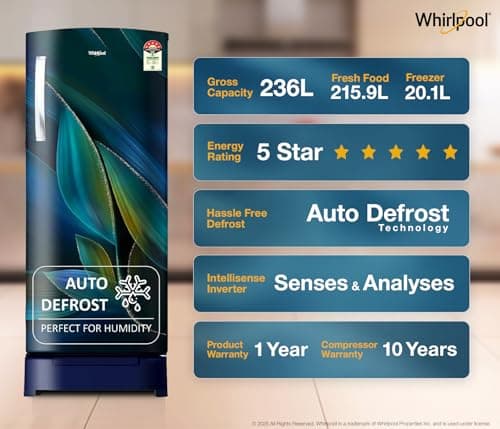 Whirlpool 236 L 5 Star Frost Free Inverter Direct-Cool Single Door Refrigerator (Auto Defrost, 260 IMPRO PLUS ROY 5S INV BLUE BREEZE-Y, Blue) 3