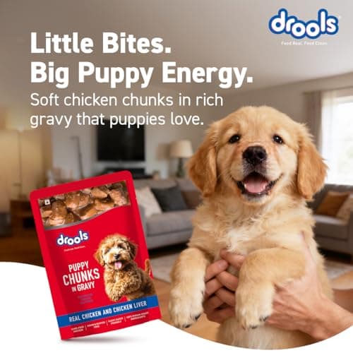 Drools Puppy Wet Dog Food 0.9kg (150g x 6 Packs) | Real Chicken & Chicken Liver Chunks in Gravy | Better Digestibility & Overall Health | Supports Healthy Skin & Coat | Maintains Joint Health 5
