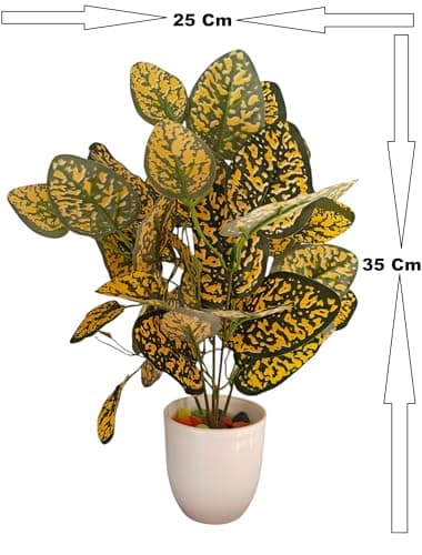 BAARIG Natural Looking Artificial Money Plant/Tree with Pot | Ornamental Plant for Interior Decor | Home/Shop/Office Décor (Yellow-New) 2