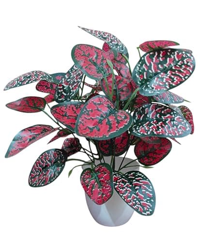 BAARIG Natural Looking Artificial Money Plant/Tree with Pot | Ornamental Plant for Interior Decor | Home/Shop/Office Décor (Red) 4