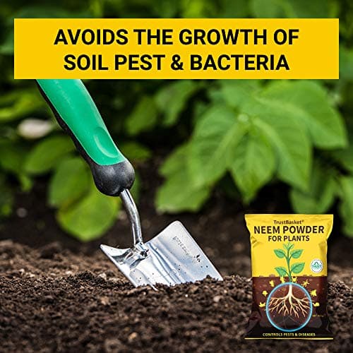 TrustBasket Neem Khali/Neem Cake Powder - 450gm - Extracted Through Cold Press Technology - Higher Azadirachtin & Neem Oil Content - Organic Fertilizer and Pest Repellent for Plants 3