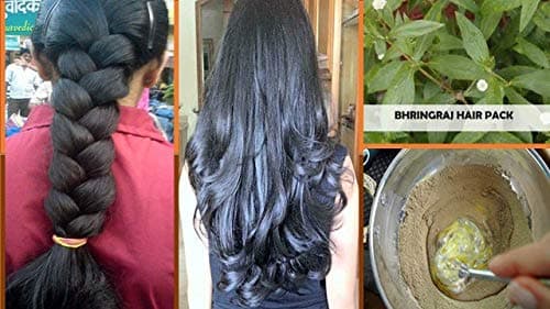 Online Quality Store Raw Bringaraj/Bringraj Dry Leaves Powder - 100g, Powder Form, 100% Natural, No Chemical Added, for Hair Nourishment 5