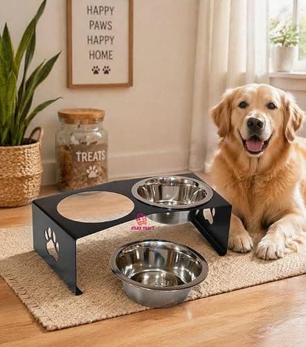 Elevated Dog Bowl Stand with 2 Stainless Steel Bowls | Raised Pet Feeder | Iron Powder Coated Stand with Paw Design | Anti-Slip Feeding Station for Small Dogs & Cats 2