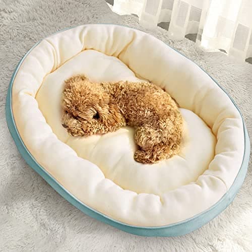 PAWSOME Dog Bed for Dogs & Cats, Durable Warm Dog Bed, Washable Sleeping Puppy Bed, Soft Calming Cat Beds for Indoor,Outdoor(Large Sky)