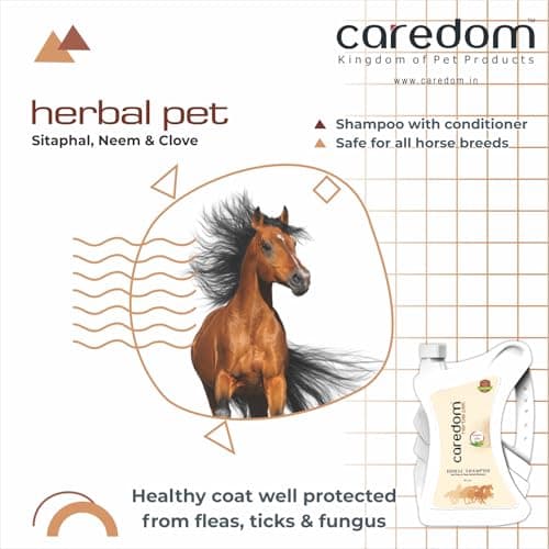 Caredom Herbal Pet Horse Shampoo 5 Litre | Sitaphal & Neem Extracts | Herbal Tick & Flea Shield | Professional Grooming Pack | Outdoor Stable Wash | Undercoat & Coat Strengthening | Deep Cleansing 2