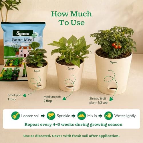 Ugaoo Bone Meal Fertilizer for Plants - 1 Kg | Organic Phosphorus and Calcium Source for Flowering and Fruiting Plants | Natural Slow-Release Plant Food for Roses Hibiscus Tomato and Home Garden Pots 3