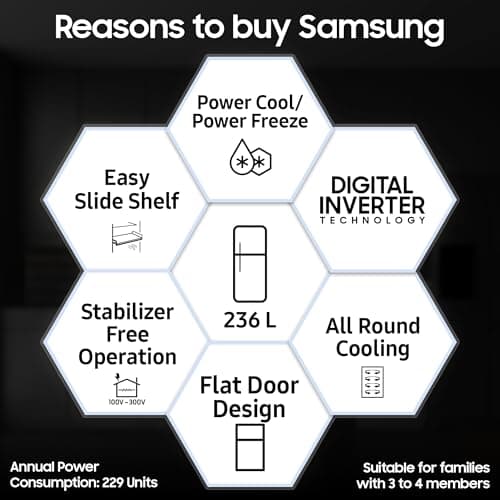 Samsung 236 L, 2 Star, Digital Inverter, Frost Free Double Door Refrigerator (RT40H28W2QHL, Gray Silver, 2026 Model) 4