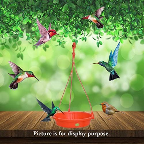 Vreeny Sparrow Bird Water Feeder (Sparrow Terra Cotta, Pack of 03) 2