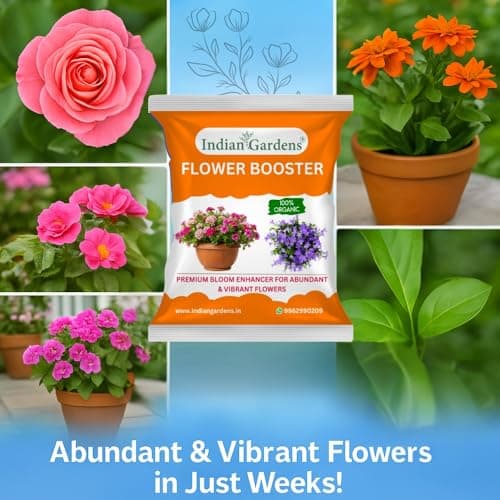 Indian Gardens - Flower Booster | Flowering Plant Food for Heavy Blooming | Promotes Bigger, Brighter Flowers & Healthy Growth | Suitable for All Flowering Plants (400 Grams) 3