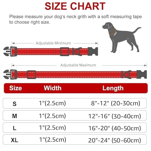 Petology Reflective Dog Leash & Collar Set for Medium Dogs (30-40cms) | 5ft Nylon Leash | Soft Neoprene Padded with Safe & Quick Release Buckle | Comfortable, Lightweight & Durable 4