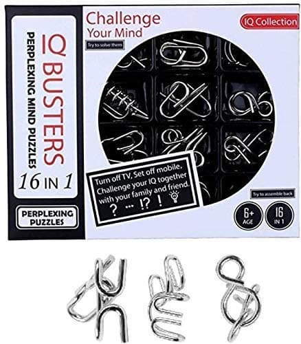 RV Mart 16 in 1 Metal Puzzles Brain Teaser Challenge Set IQ Busters Intellectual Toy for Kids and Adult Design 1 - Silver