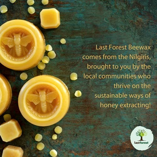 Last Forest Beeswax Lip Balm for Men & Women 5g, Non-sticky, 24 Hrs Lip Moisturizer For Dry And Chapped Lips, Nourish & Protect (Orange) 3