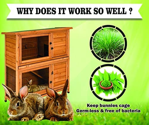 Boltz Rabbit Litter Spray with Lemon Grass and Neem, Medium, 200 ml, 1 Piece 3