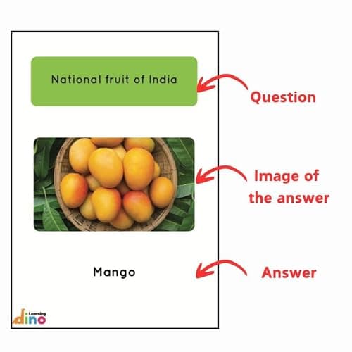 General Knowledge Picture Book For Kids About India | 100 GK Questions and Answers about India with Pictures for Kids | By Learning Dino 2