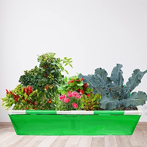 ORGANIC BAZAR 48x24x12 Rectangular Grow Bag with Supporting PVC Pipes for Terrace Garden | Premium HDPE 350 GSM Raised Green Plant Bags Planter (Pack of 1) 4