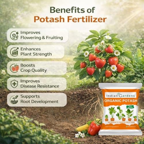 Indian Gardens - Organic Bio Potash (900 Grams) Fertilizer | Plant Nutrient Supplement | Slow Release Granules For Plants and Home Garden 3