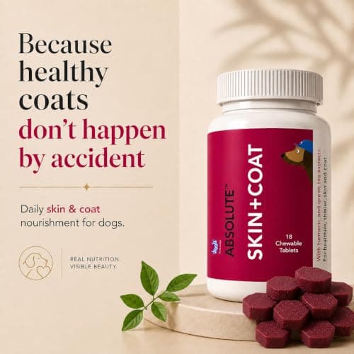 Drools Absolute Dog Supplement Tablet, Skin+ Coat 400g 110 Pieces Jar | Turmeric Flavour | Supports Skin& Food Sensitivity | Supports Skin Natural Barrier | Nutrients Rich Botanical 3