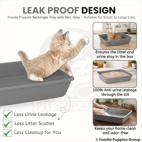 Foodie Puppies Litter Tray for Cat and Kitten - Grey (Small, Plain Rectangle Tray) | Reduces Odor, Perfect Starter for Toilet/Potty Training | Cat Litter Tray for All Breeds (49 x 38 x 15 cm) 3