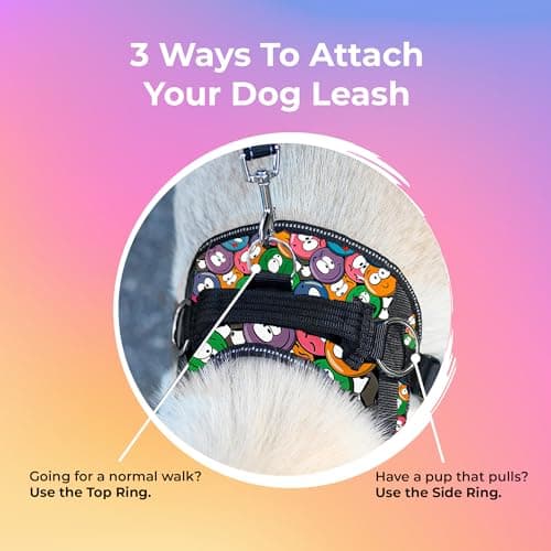 KIKA Pets Personalized Dog Harness|Dog Harness For Shih Tzu With Name|Customized Dog Vest Harness,Small Size (For 5-12 Kg Dogs,Groovy Emoji,Multicolor) 5